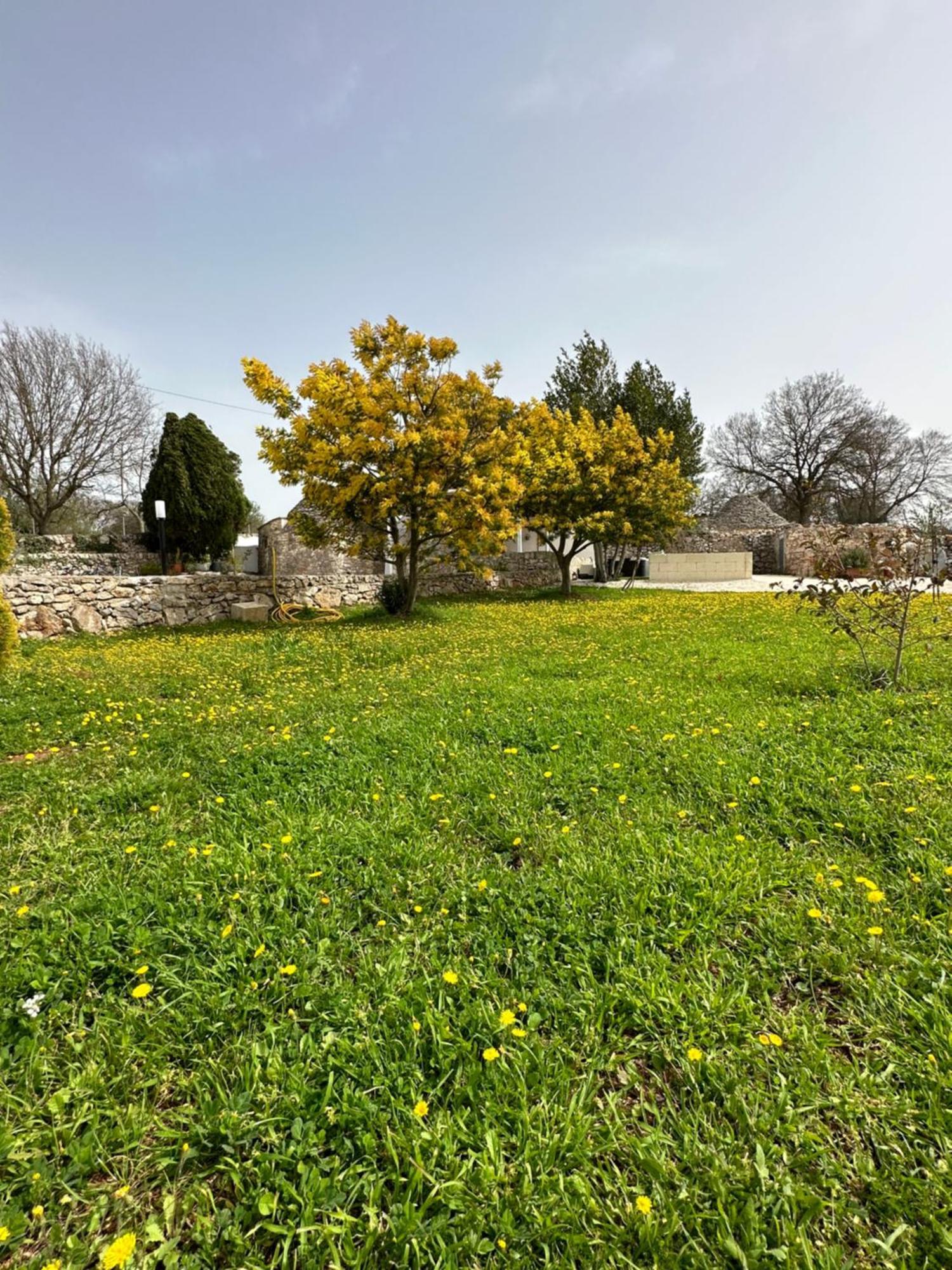 Trulli In Contrada Villa Noci Exterior photo